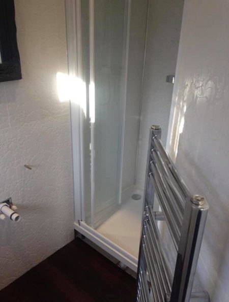Chrome heated towel rail beside a pivot shower door enclosure