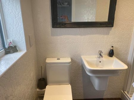 Compact washroom with close-coupled toilet and wall-hung basin under a black framed mirror